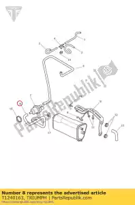 triumph T1240163 bidon d'évaporateur de tuyau - La partie au fond