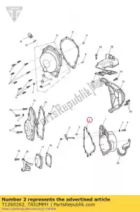 triumph T1260262 guarnizione, coperchio alternatore - Il fondo