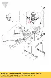 Here you can order the stop plate, master cyl from Triumph, with part number T2026133: