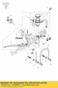 triumph T2026133 aanslagplaat, hoofdcilinder - Onderkant