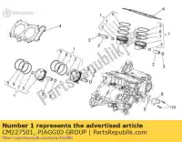 CM227501, Piaggio Group, piston assy 