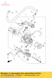 Qui puoi ordinare set di sensori dell'acceleratore da Yamaha , con numero parte 1S3W85880000: