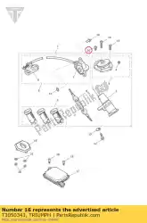 Here you can order the screw, cap/hd, m5x0. 8x10, slv from Triumph, with part number T3050341: