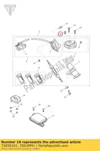 triumph T3050341 screw, cap/hd, m5x0.8x10, slv - Bottom side