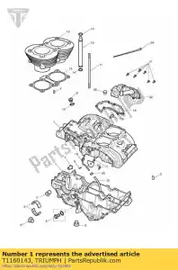 triumph T1160143 carter assy zwart - Onderkant