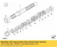 23317681384, BMW, arruela - 23,6x24x3 bmw  20 900 1200 2004 2005 2006 2007 2008 2009 2010, Novo