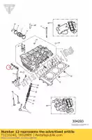 T1210240, Triumph, bolt, banjo, m10x1.25x28 triumph adventurer > 71698 adventurer 71699 > america carbs america efi bonneville & bonneville t100 carbs bonneville & bonneville t100 efi bonneville efi > 380776 bonneville from vin 380777 & se bonneville from vin 380777/ se bonnevi, New