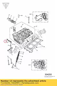 triumph T1210240 bullone, banjo, m10x1,25x28 - Il fondo