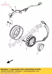 Here you can order the rotor assy from Yamaha, with part number 3DR814502000: