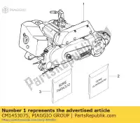 CM1453075, Piaggio Group, 50 2t e2 nrg power ária eng. para sp.p. piaggio nrg 50 2005 2006 2007, Novo