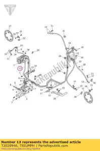 triumph T2020946 ligne de frein fr mcyl - La partie au fond