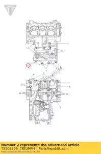 triumph T3202309 bout, hhf, m8x1.25x105, slv - Onderkant