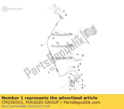 Aqui você pode pedir o pino hidráulico do freio dianteiro em Piaggio Group , com o número da peça CM256503: