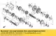 Gear, countershaft fourth Honda 23481MEW920