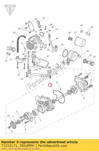 triumph T1210171 guarnizione o-ring coperchio pompa acqua - Il fondo