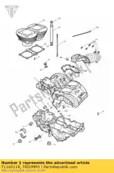 carter assy zwart van Triumph, met onderdeel nummer T1160118, bestel je hier online: