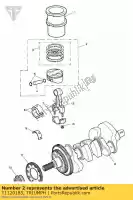 T1120185, Triumph, piston assy, 79mm triumph speed triple speed triple 210445 > 461331 speed triple 461332 > speed triple r sprint gt sprint st 208167 > tiger 1050 tiger sport 1050 1215 2005 2006 2007 2008 2009 2010 2011 2012 2013 2014 2015 2016, New