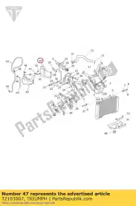 triumph T2103007 coperchio vaso espansione mldg - Il fondo