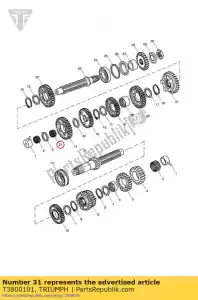 triumph T3800101 rolamento, agulha, 25 x 29 x 10 - Lado inferior