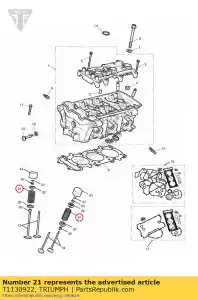 triumph T1130922 spr??yna, zawór - Dół