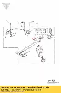 triumph T2500114 conjunto de cerradura - Lado inferior