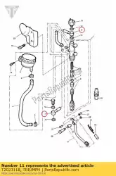 remslang van Triumph, met onderdeel nummer T2023118, bestel je hier online: