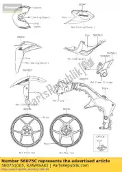 Here you can order the pattern,tail cover,rh from Kawasaki, with part number 560751065: