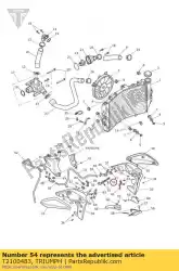 Aqui você pode pedir o radiador de suporte em Triumph , com o número da peça T2100483:
