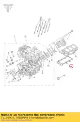 Here you can order the crankcase gasket base from Triumph, with part number T1160978: