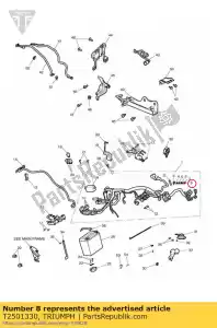 triumph T2501330 zekering, mini, 30a - Onderkant