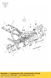 Aqui você pode pedir o assy frame americas em Triumph , com o número da peça T2073119: