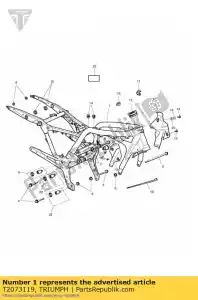 triumph T2073119 assy frame americas - Dół