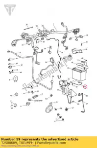 triumph T2500609 mat battery - Bottom side