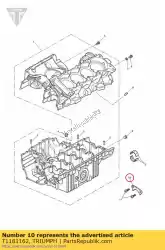 Aquí puede pedir retenedor de placa de Triumph , con el número de pieza T1181162: