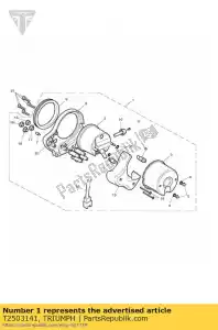 triumph T2503141 instrumento assy kmh - Lado inferior