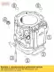 Cilindro d = 101 pressocolata 03 KTM 5843000510023