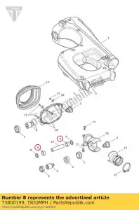 triumph T3800199 ?o?ysko igie?kowe 20 x 26 x 20 - Dół