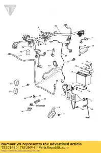 triumph T2501480 arnês principal - Lado inferior