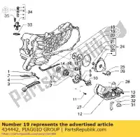 434442, Piaggio Group, Wa?ek z?baty aprilia piaggio vespa  4t et hexagon lx liberty mojito scarabeo sfera sfera rst zip 50 125 1995 1996 1997 1998 1999 2000 2001 2002 2003 2004 2005 2006, Nowy