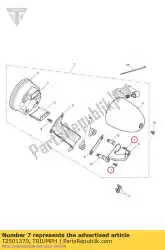 Here you can order the screw m4 x 10 s/s from Triumph, with part number T2501370: