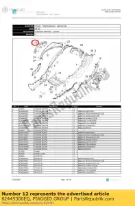 Piaggio Group 62445300EQ rechter passagiershendel - Onderkant