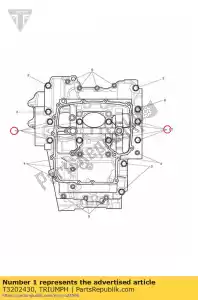 triumph T3202430 parafuso hhf m8 x 105 slv - Lado inferior