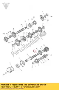 triumph T1180354 bush, plain, input 5th - Bottom side