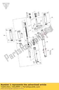 triumph T2041403 montaje del montante lh - Lado inferior