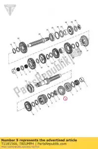 triumph T1181566 gear input sixth 28t - Bottom side