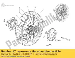 Here you can order the spoke from Piaggio Group, with part number 863623: