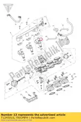 Here you can order the o ring, injector, upper from Triumph, with part number T1245016: