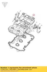 Ici, vous pouvez commander le couvercle de came, usiné, sai auprès de Triumph , avec le numéro de pièce T1261331: