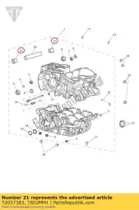 triumph T2057383 boccola carter - Il fondo