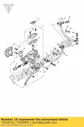 remslang teflon voorzijde van Triumph, met onderdeel nummer T2029101, bestel je hier online: